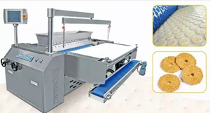 Hot Selling Horizontal Biscuit Rotary Moulder For Soft Biscuit Line
